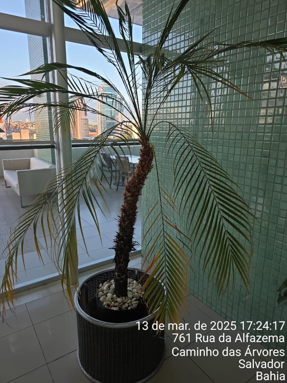 Bahia Iguatemi Business Flats Salvador